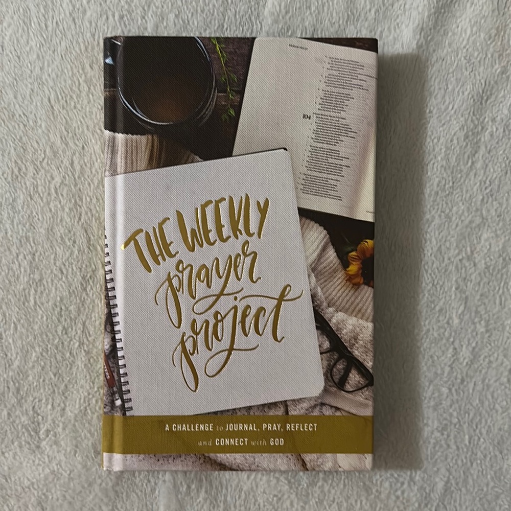 The Weekly Prayer Project (Book)